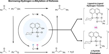  Ketonoxime!  Unveiling its Potential as a Versatile Ligand and Catalyst Precursor